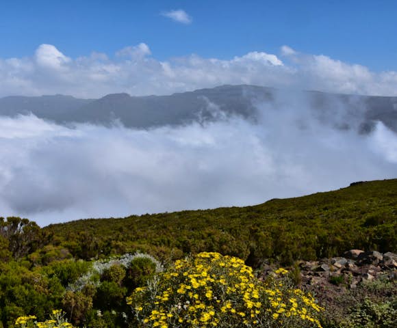 Camping in the Bale Mountains