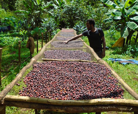 Camping in the Bale Mountains