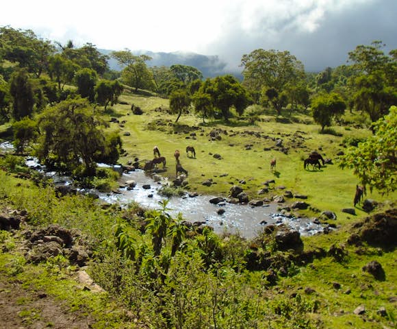 Camping in the Bale Mountains