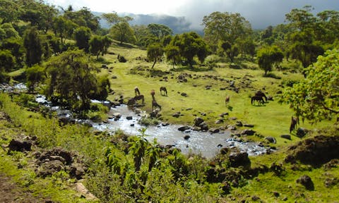 When to visit the Bale Mountains