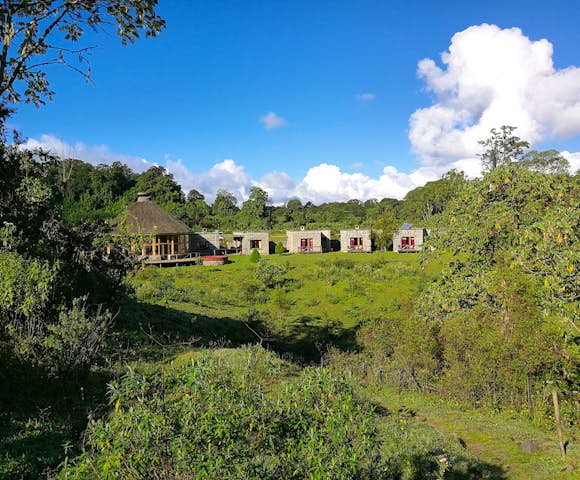 Bale mountains lodge rooms and reception