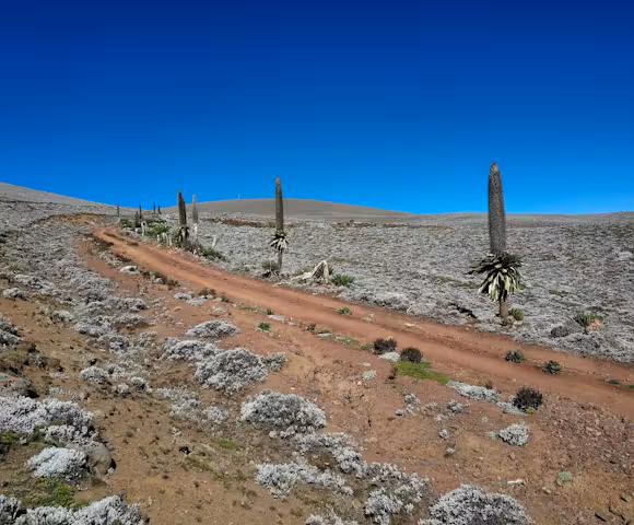 Camping in the Bale Mountains