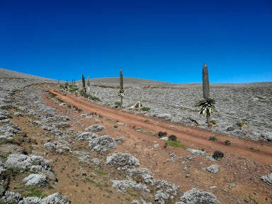 Bale Mountains National Park