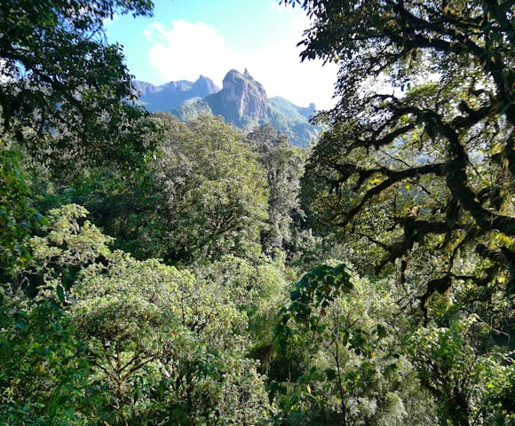 Reasons to Visit the Bale Mountains