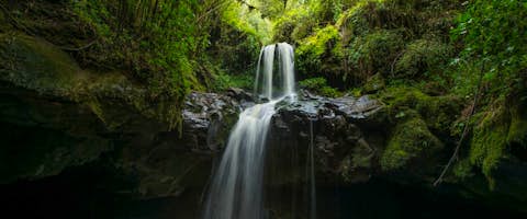 Rift Valley and Bale Mountains
