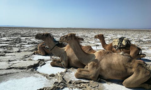How to get to the Danakil Depression