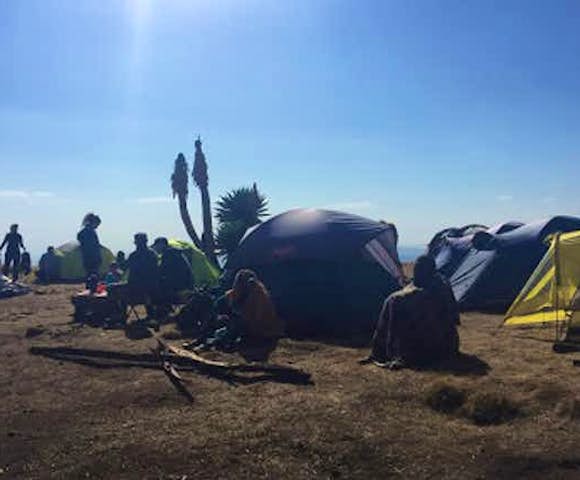 Tents, people, and Juniper Tree at Simien Mountains Campsite