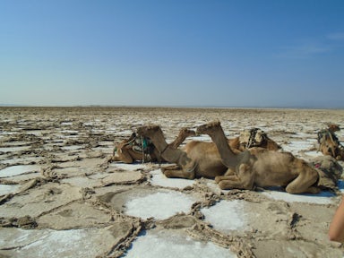 Danakil Depression