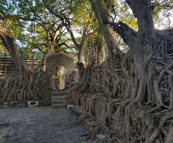 Fasilides Bath in Gondar Ethiopia