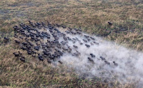 Ethiopia Luxury Tours