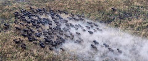 Remote Corners of Ethiopia