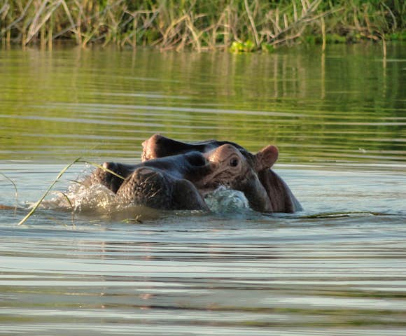 Great Lakes of Ethiopia