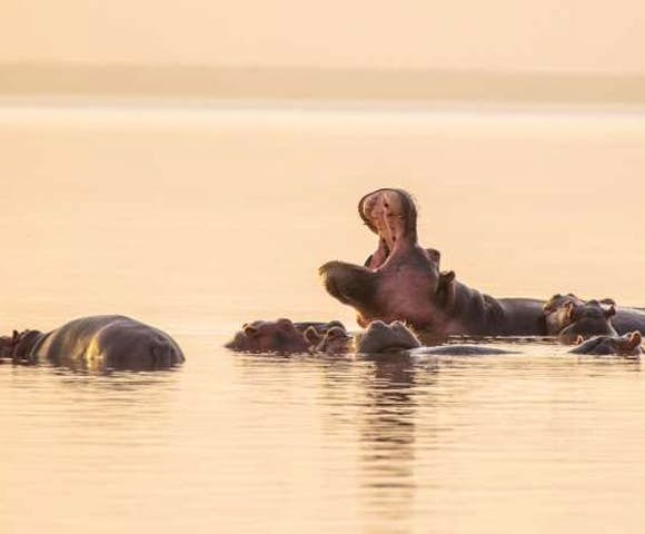 Great Lakes of Ethiopia