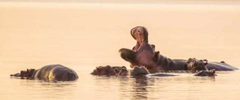 Rift Valley Road Trip