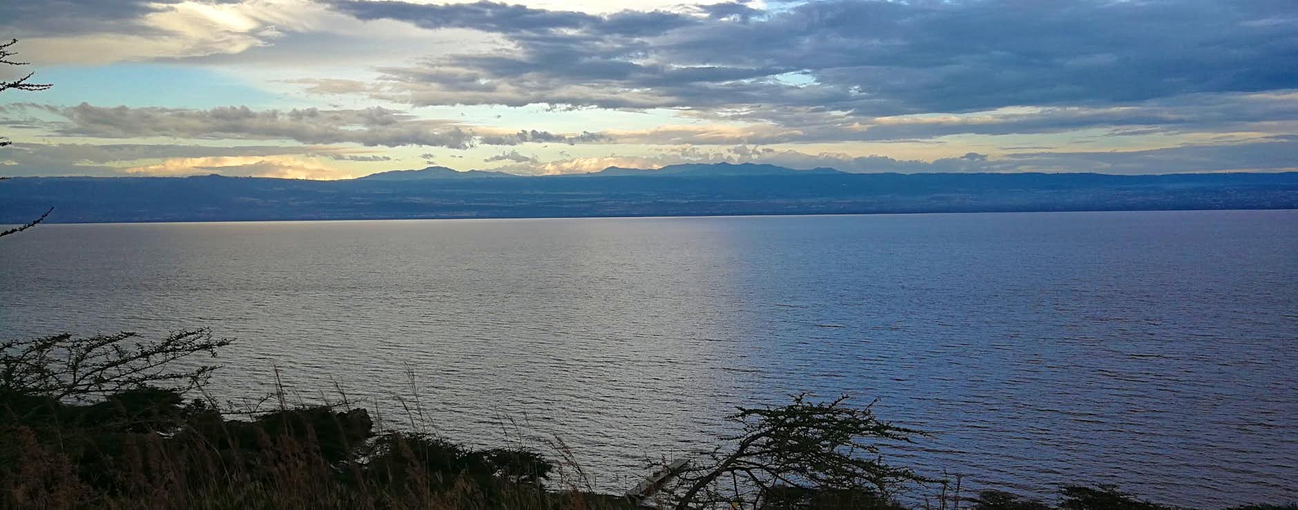 Marc, Brilliant Ethiopia. 