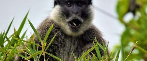 Best of Southern Ethiopia