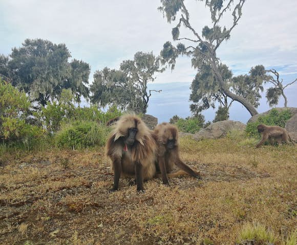 Simien Mountains National Park