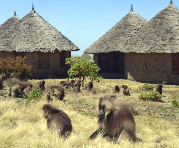 Ethiopia Tours