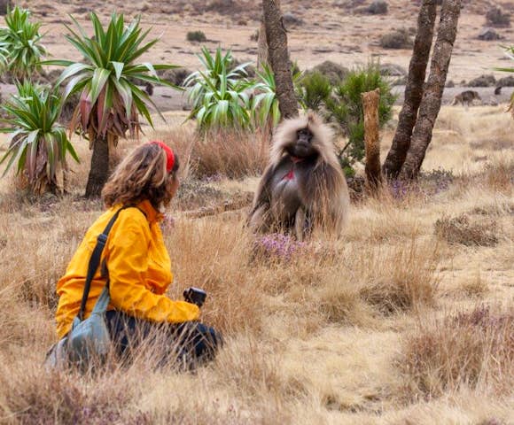 Woman and Gelada Monkey in field in the Simien Mountains