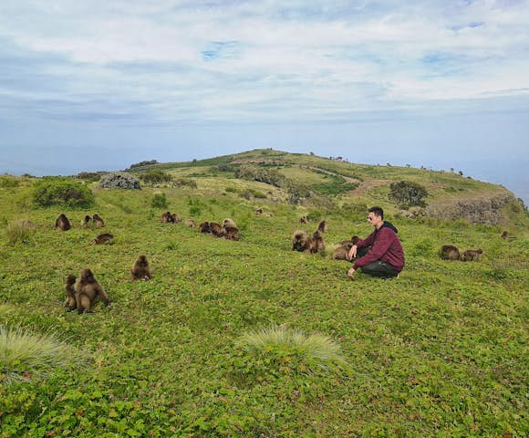 Man sitting in green field with Gelada Monkeys in the Simien Mountains