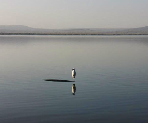 Great Lakes of Ethiopia