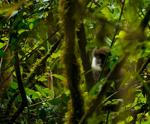 Camping in the Bale Mountains
